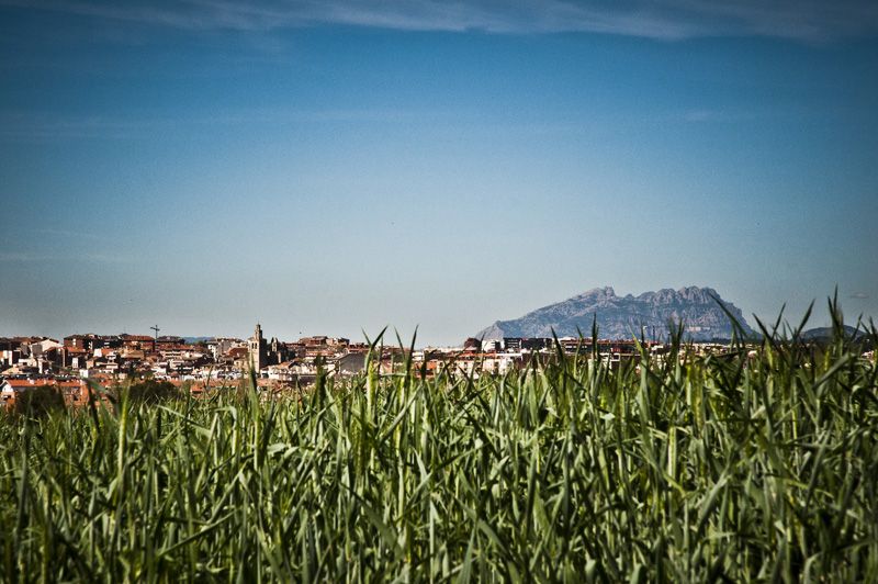  El Monestir i montserrat de camí al Pi den Xandri