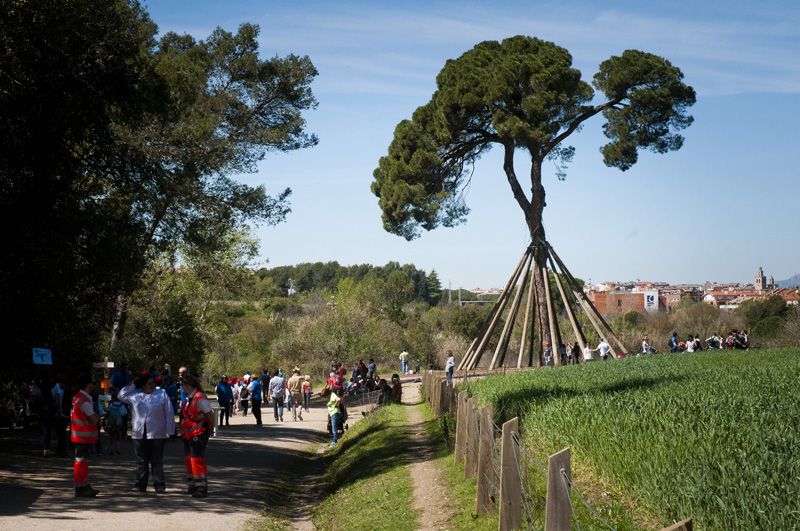 Arribada al Pi d'en Xandri, ja falta poc per arribar a la meta