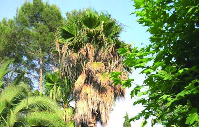 FOTO: Jordi Roca i Josep Castellví