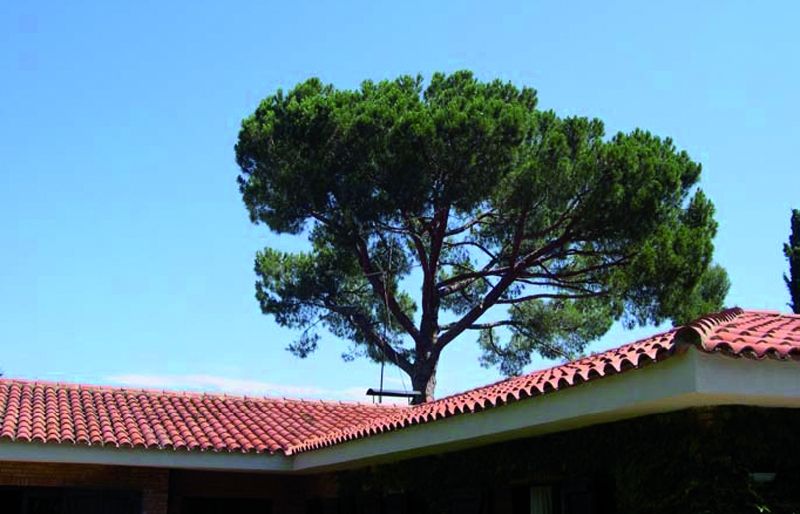 FOTO: Jordi Roca i Josep Castellví