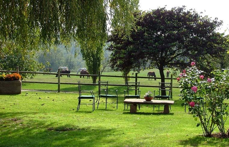 Abans de plantar un arbre s'ha de tenir idea del volum que aconseguirà. FOTO: Cedida