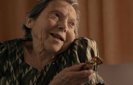 Moment del film català 'La Plaga'