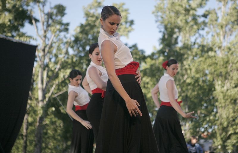 10ª Mostra de Dansa (2014)