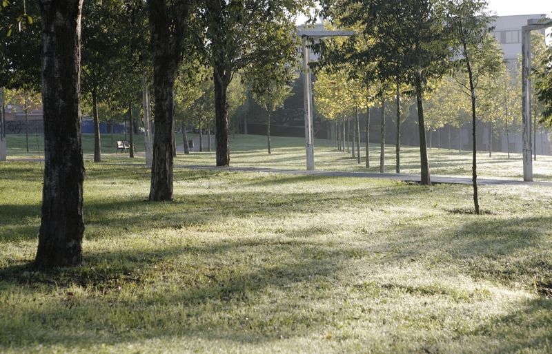 Una de les dues noves zones delimitades per a gossos estarà situada al parc de la Pollancreda. FOTO: Artur Ribera