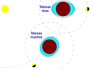 Esquema que mostra els tipus de marees, segons la posició de la Terra, Lluna i Sol