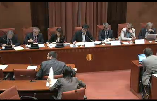 Imatge de la compareixença d'alcaldes i alcaldesses a la Comissió d'Afers Internacionals. FOTO: Cedida