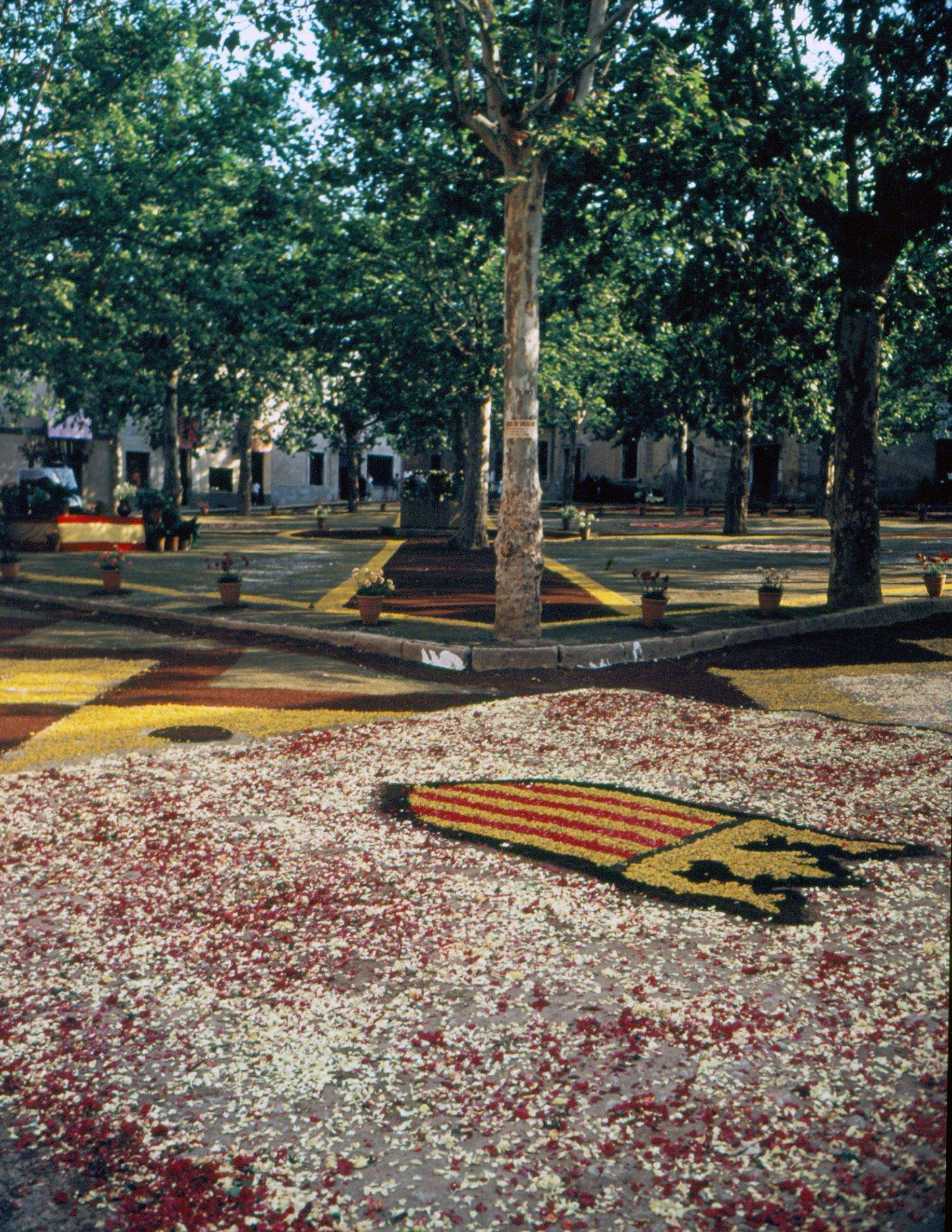  Plaça de Barcelona, 1954