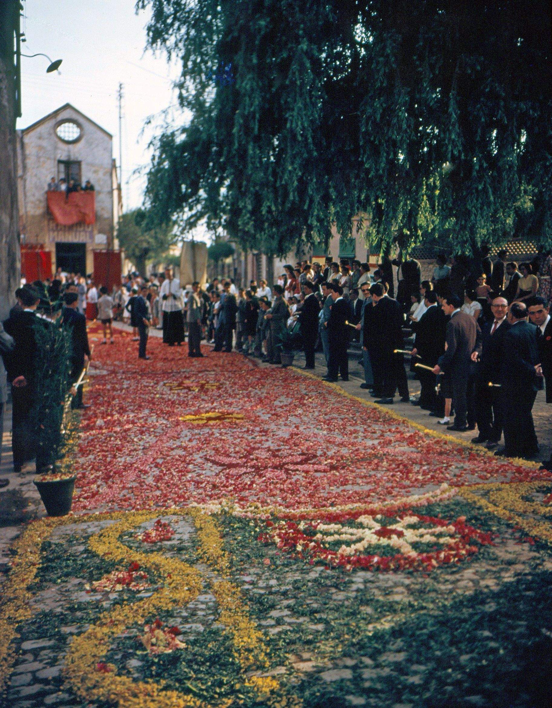  Doctor Galtés, 1954