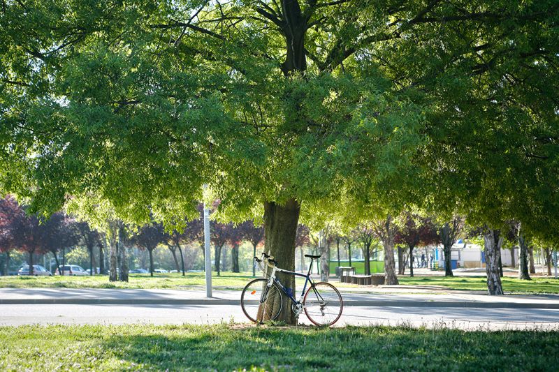 Menys fums i meny més salut