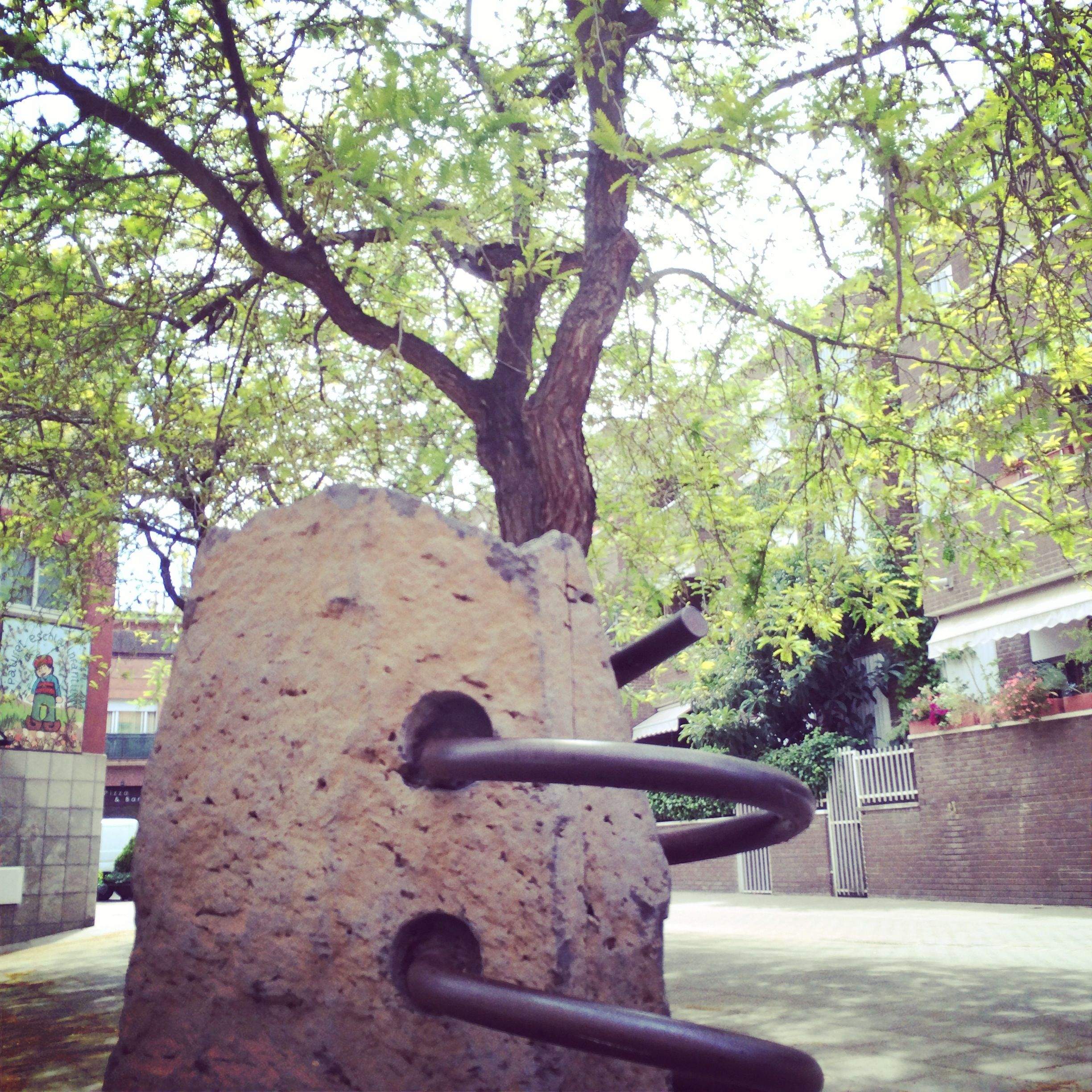 Escltura als mitjans de comunicacio