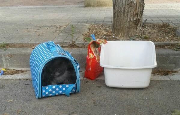 Fotografia feta per la santcugatenca Lucia Arana a twitter