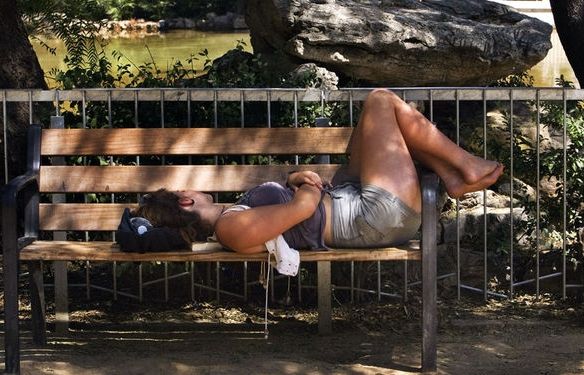 Una bona migdiada per recuperar forces i aguantar millor la calor. FOTO: Cedida