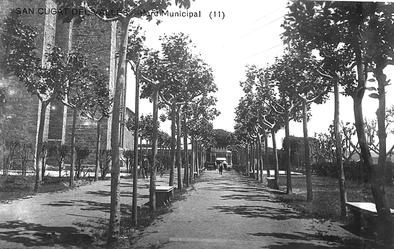 Platans, jardins del Paja-li Joan