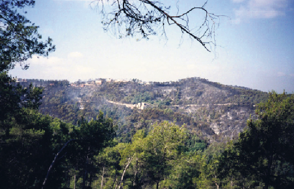 El Carlos explica que la Floresta va tardar anys en ser la mateixa. FOTO: Arxiu