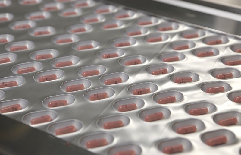 Imatge de la polipíndola Trinomia. FOTO: Artur Ribera