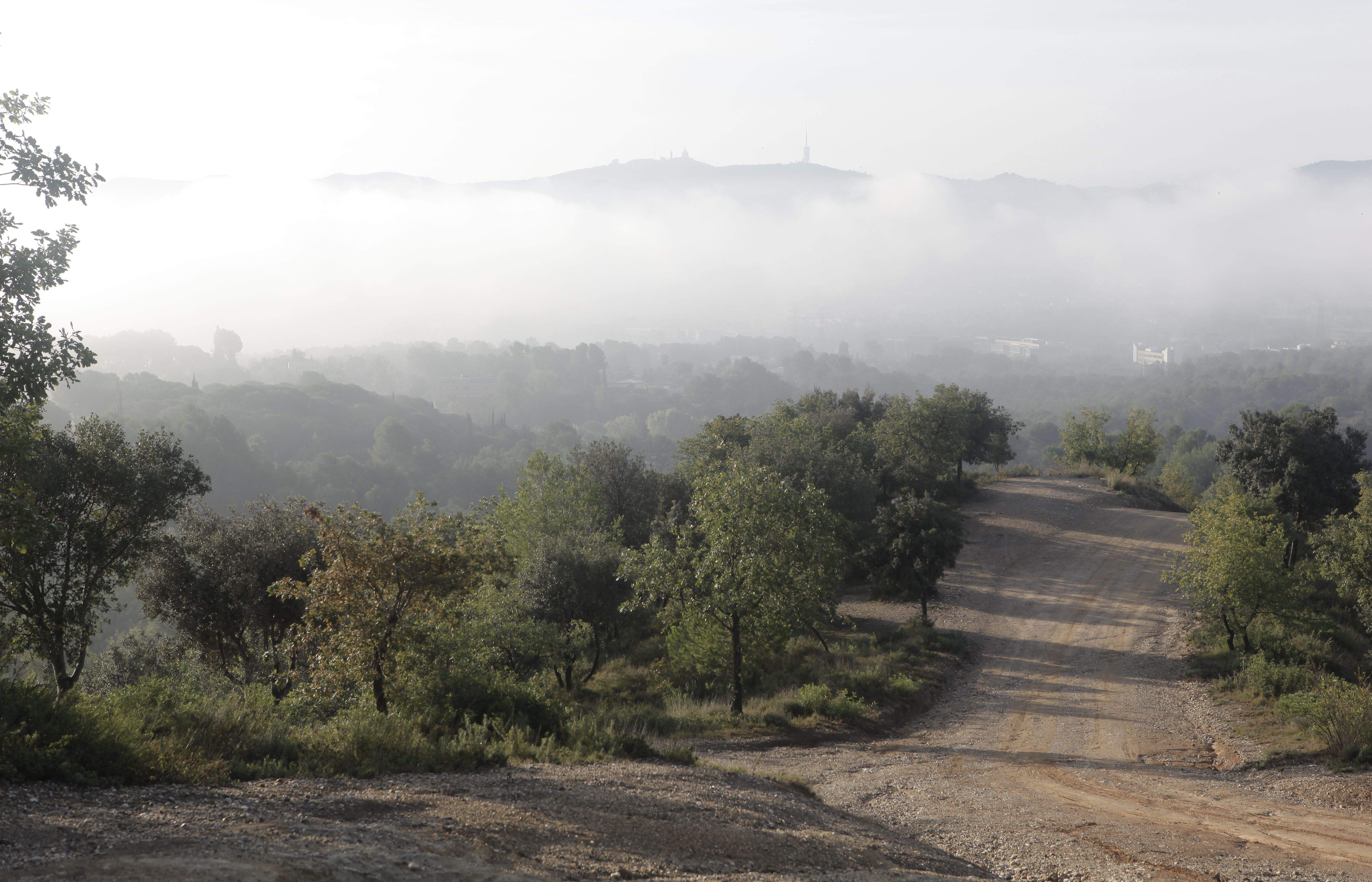 Vista de la serra de Collserola i Sant Cugat des del turó de Mataric, a Bellaterra. FOTO: Artur Ribera