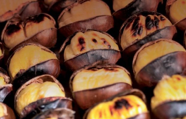 El 31 d'octubre se celebra la castanyada, tradició catalana FOTO: Arxiu