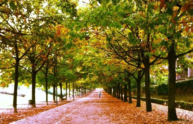 Passeig de Gaudí, a Sant Cugat. Imatge de @nurifergar a twitter.