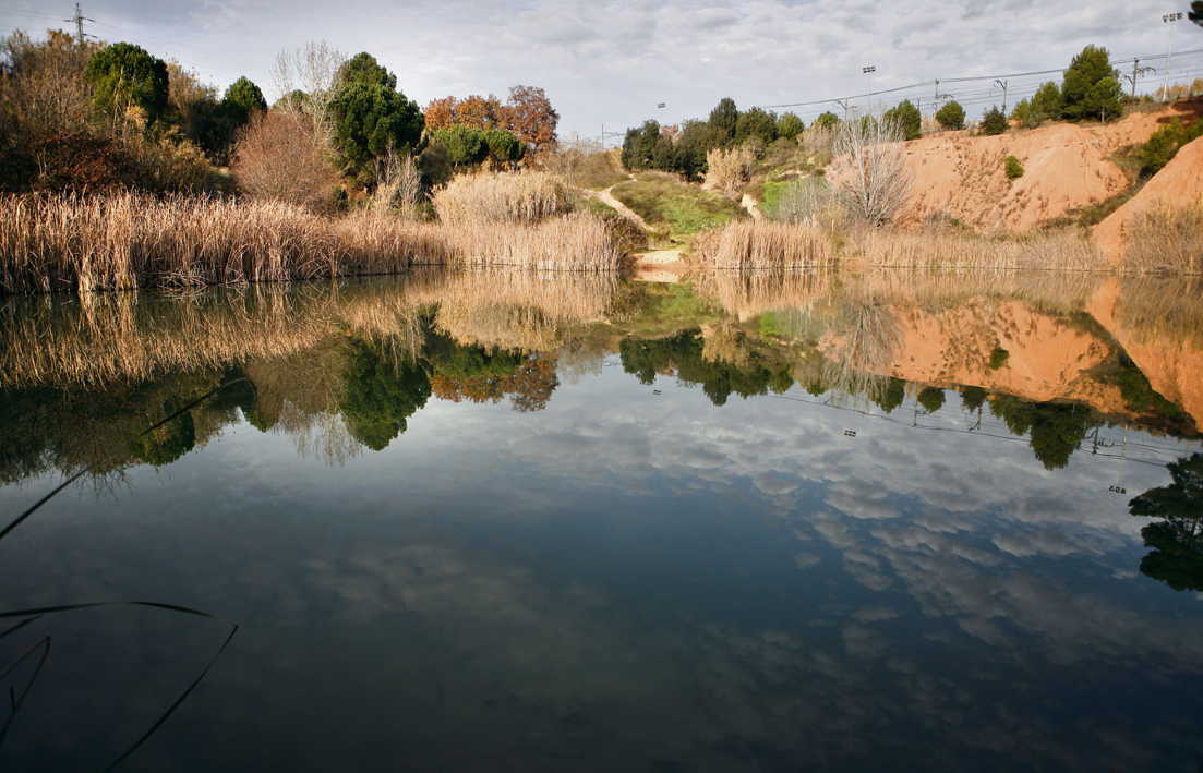 Lestany dels Alous va sorgir arran de la instal·lació als anys 60 duna argilera. FOTO: Artur Ribera