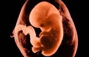 Despatx d'obstetricia i ginecologia