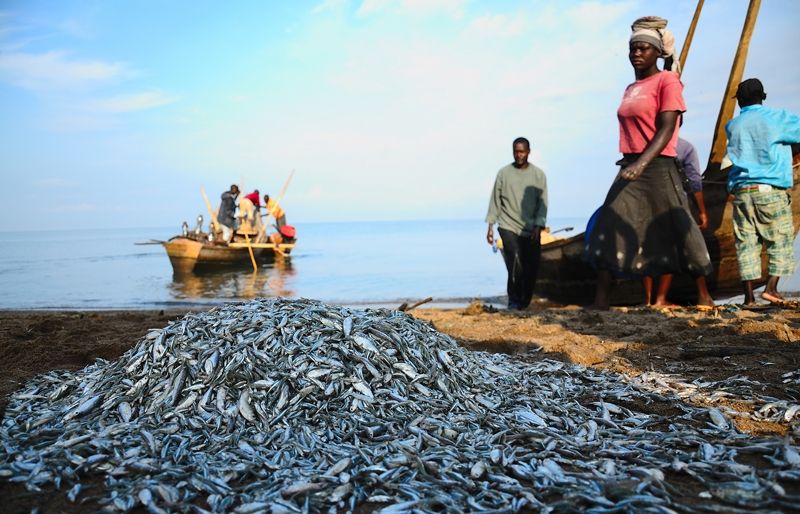 3r VACANCES: Pesca artesanal (Uganda)