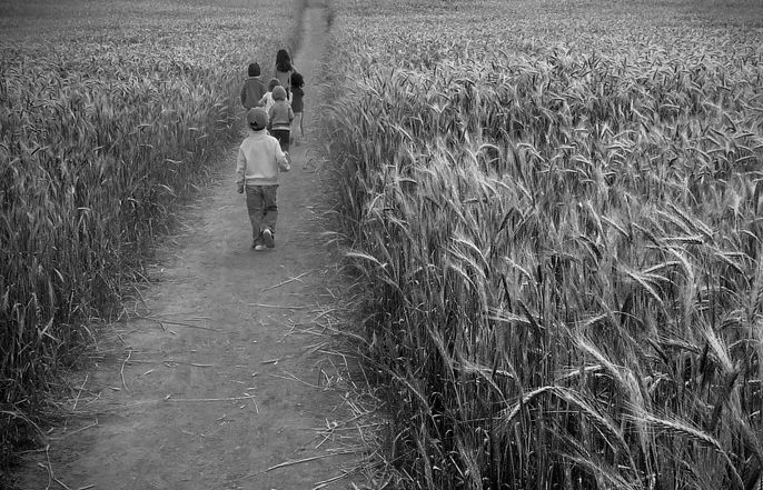 3r SANT CUGAT: El camí