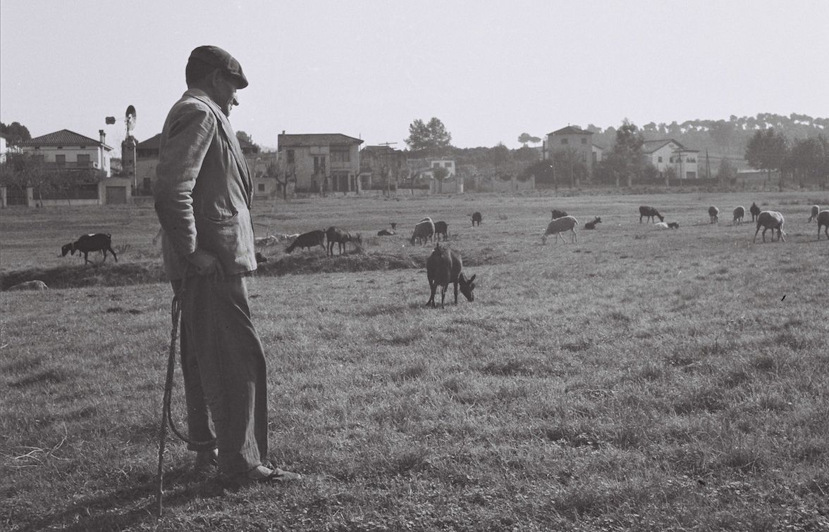 Camp de Golf de Sant Cugat a principis dels anys quaranta. Autor: Octavi Galceran.