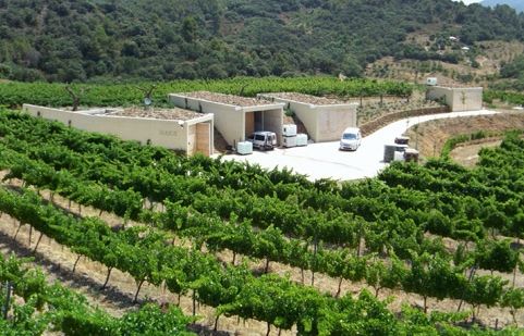 La vinya del Celler Santa Maria al Priorat. FOTO: Celler Santa Maria