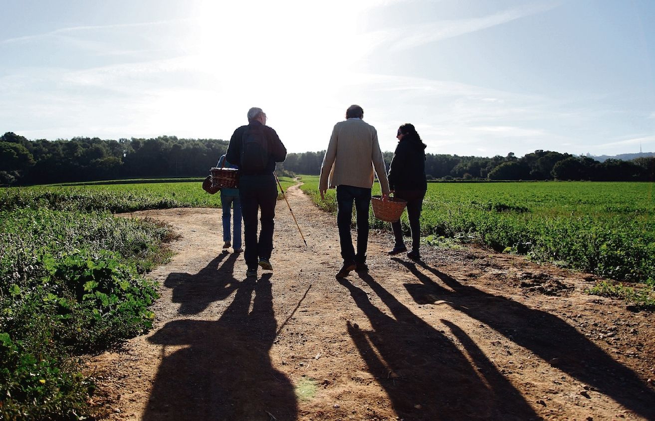 A la recerca de bolets  Sortint de Can Calders i començant a caminar cap al bosc amb lesperança de trobar-ne. FOTO: Lali Puig