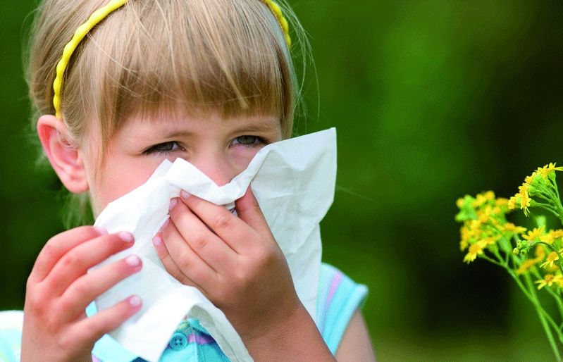 El refredat comú pot causar-lo qualsevol dels 200 virus exisitents. FOTO: Cedida
