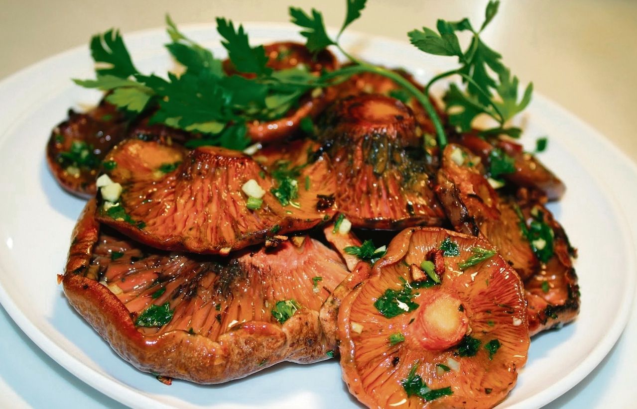 Es poden fer molts plats amb els bolets