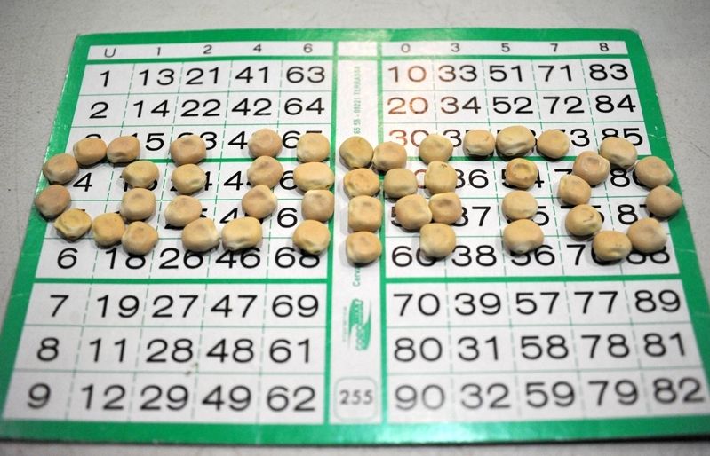 Quinto de Nadal. FOTO: Cedida