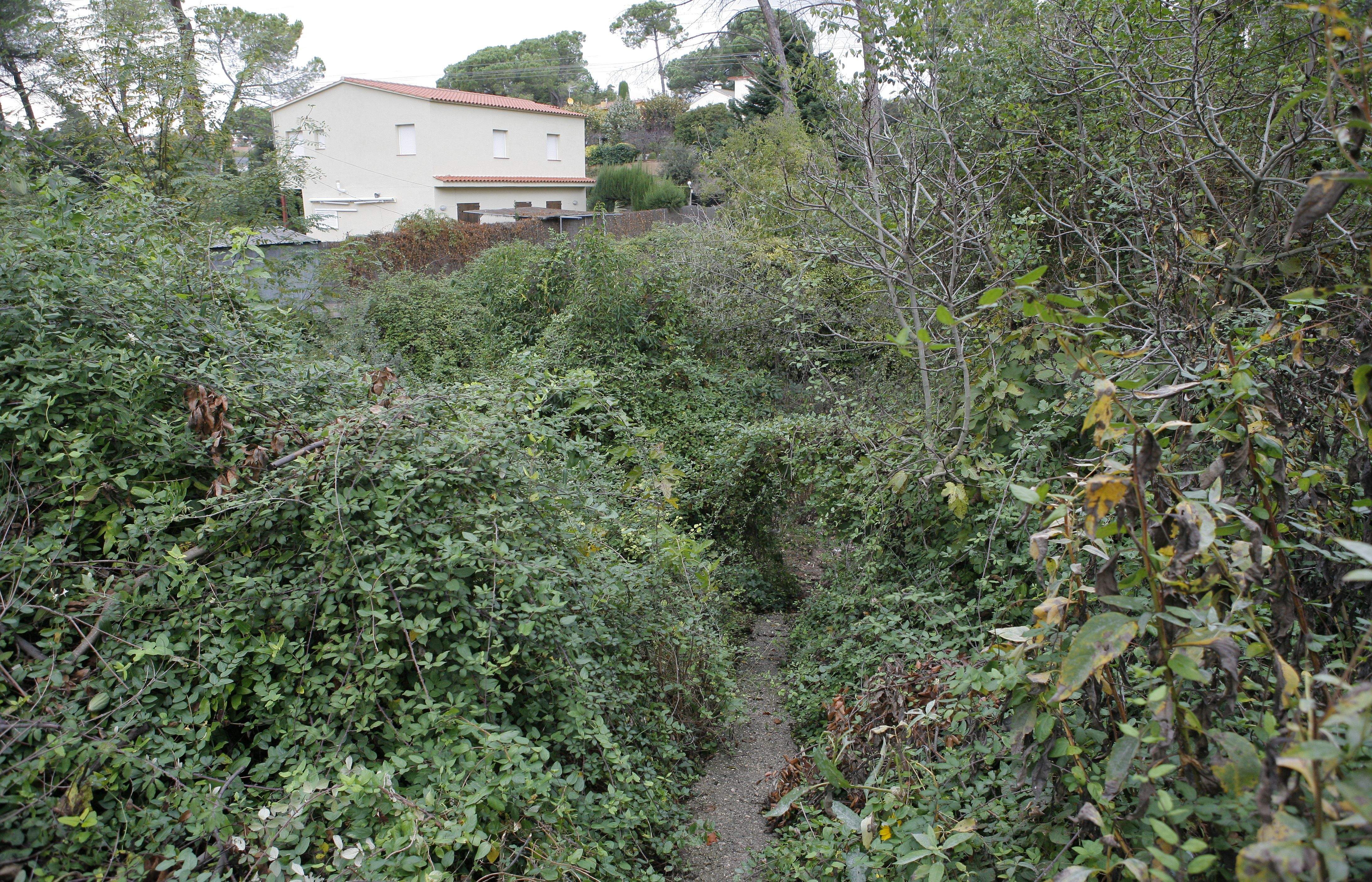 Zones verdes a l'entorn de les rieres de Valldoreix. FOTO: Artur Ribera