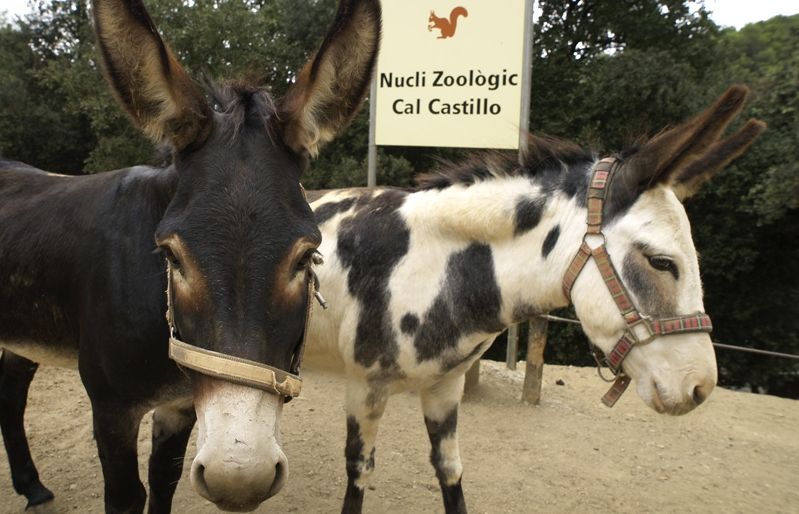 Entrada del nucli zoològic de Cal Castillo. FOTO: Artur Ribera