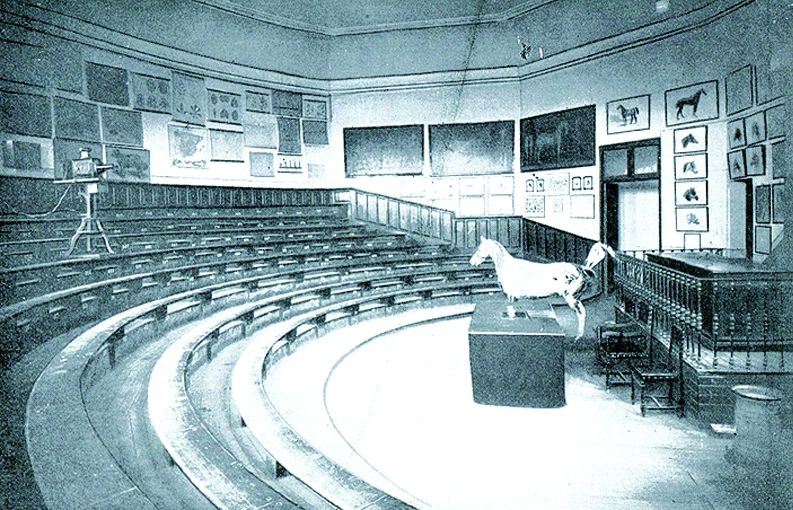 Aula de veterinària en una facultat