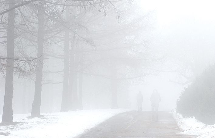Els pagesos temem la boira gebradora que mata les plantes