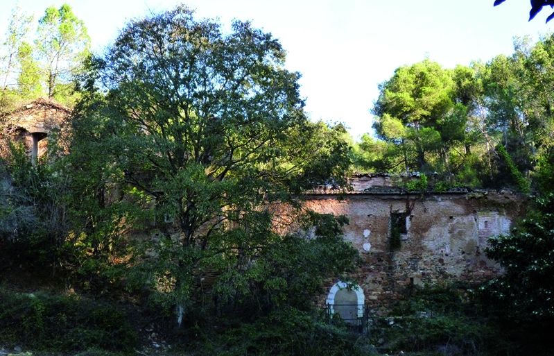 Ruïnes del convent de Santa Margarida o de Valldonzella. FOTO: Cedida