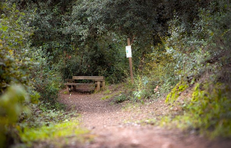 Diumenge s'inaugura la 13a edició del Bosc Literari FOTO: Artur Ribera