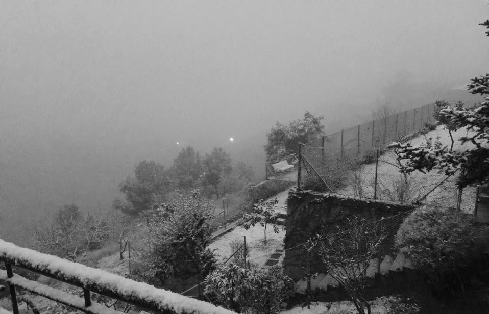 Imatge de la nevada de la nostra lectora Mireia Gobern Castillo. FOTO: M. Gobern