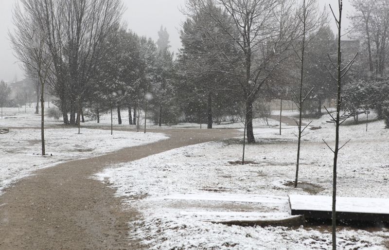 Foto del parc que queda entre l'avinguda de Bilbao i el passeig d'Olabarria, a Valldoreix. FOTO: Artur Ribera