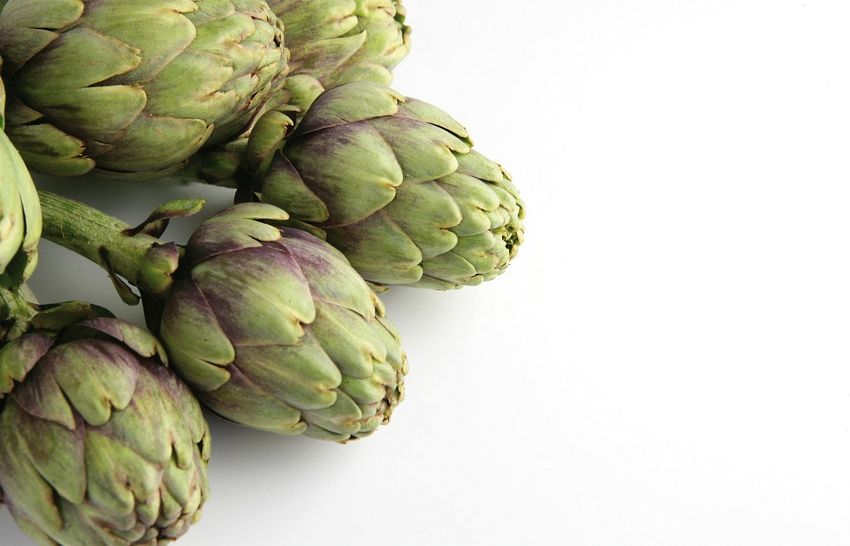 El consum de carxofes és bo per al colesterol