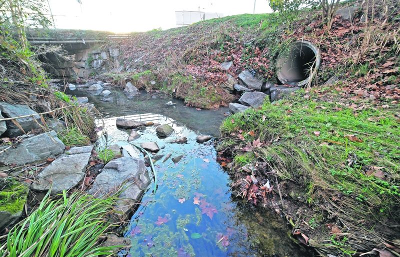 Rieres a Sant Cugat. FOTO: Artur Ribera
