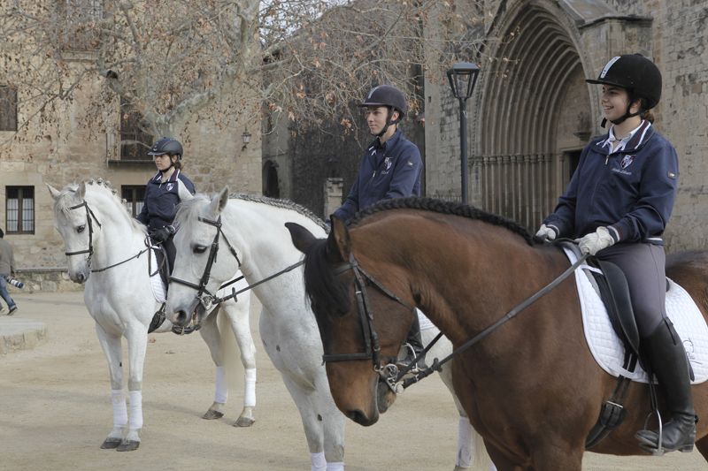 Els cavalls eren de la hípica Laura Durbà