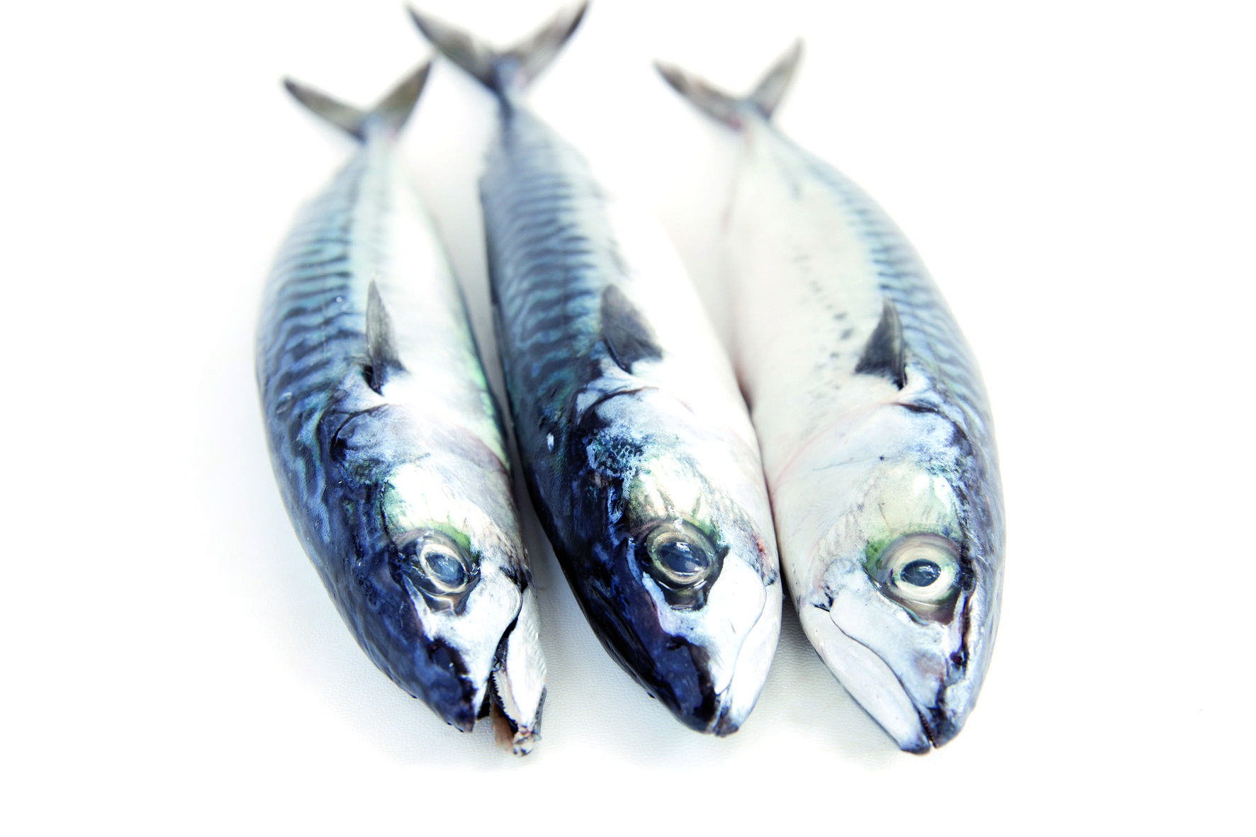 El peix blau és un aliment molt saludable