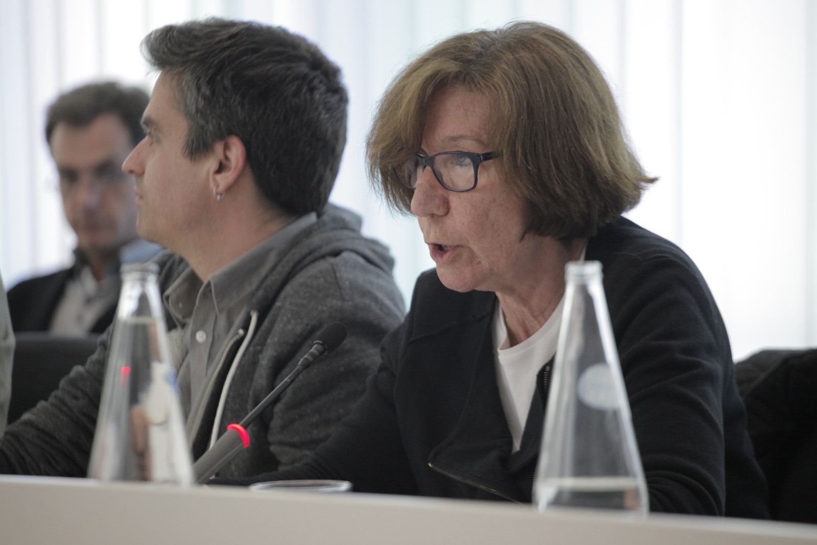 Roser Casamitjana (ICV-EUiA) ha explicat la moció. FOTO: Artur Ribera