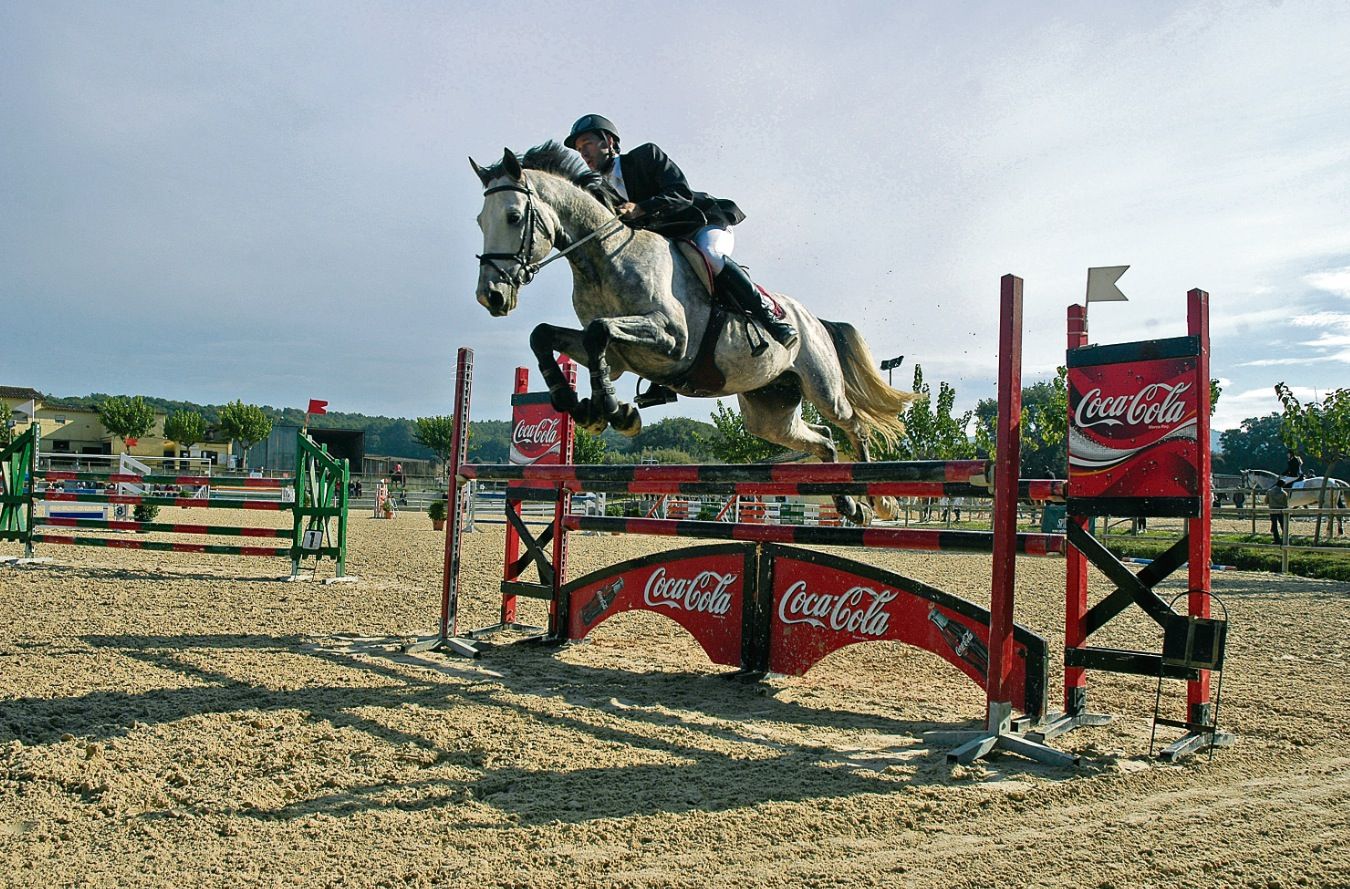 El Club Esportiu Equus Can Caldés és especialista en la disciplina de salts d’obstacles. FOTO: David Fernández
