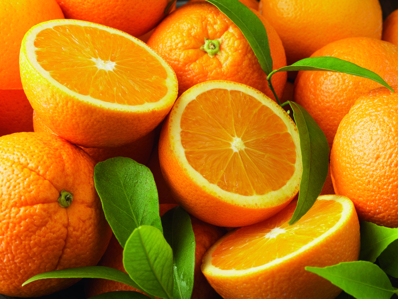 Les taronges són un aliment bàsic per a la nostra salut. FOTO: arxiu