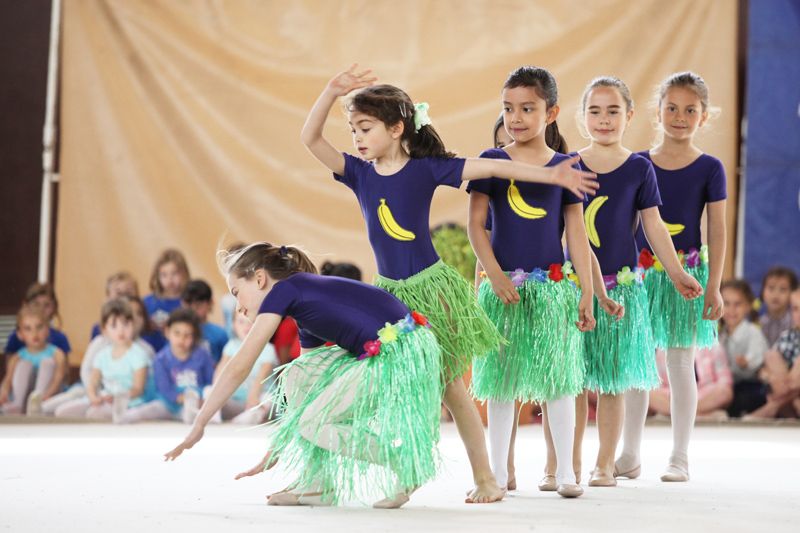 A la Gimnastrada hi ha hagut trenta actuacions. FOTO: Lali Puig