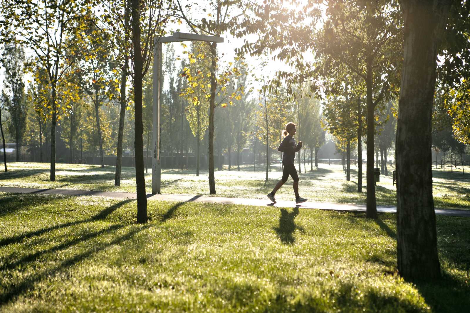 El sol serà el protagonista de l'inici de la setmana. FOTO: Artur Ribera