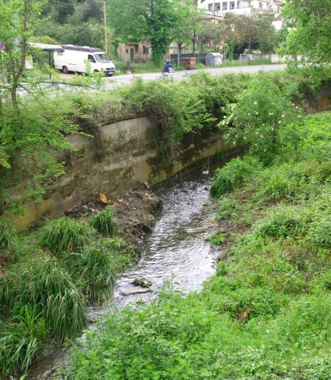 La riera de Vallvidrera en el seu pas per Can Borrull. FOTO: Artur Ribera